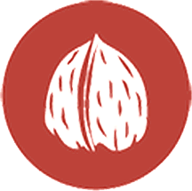 Frutos de cáscara