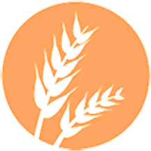 Contiene gluten