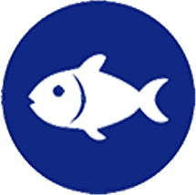 Pescado